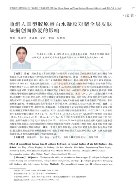 2019 動物研究，重組人Ⅲ型膠原蛋白水凝膠對豬全層皮膚缺損創(chuàng)面修復(fù)的影響